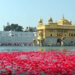 ਸ੍ਰੀ ਗੁਰੂ ਰਾਮਦਾਸ ਜੀ ਦੇ ਪ੍ਰਕਾਸ਼ ਪੁਰਬ ਮੌਕੇ ਸ੍ਰੀ ਹਰਿਮੰਦਰ ਸਾਹਿਬ ਵਿਖੇ ਹੈਲੀਕਾਪਟਰ ਰਾਹੀਂ ਫੁੱਲਾਂ ਦੀ ਵਰਖਾ ਅਤੇ ਗੁਲਾਬ ਦੀਆਂ ਪੱਤੀਆਂ ਨਾਲ ਸਜਿਆ ਪਵਿੱਤਰ ਸਰੋਵਰ।