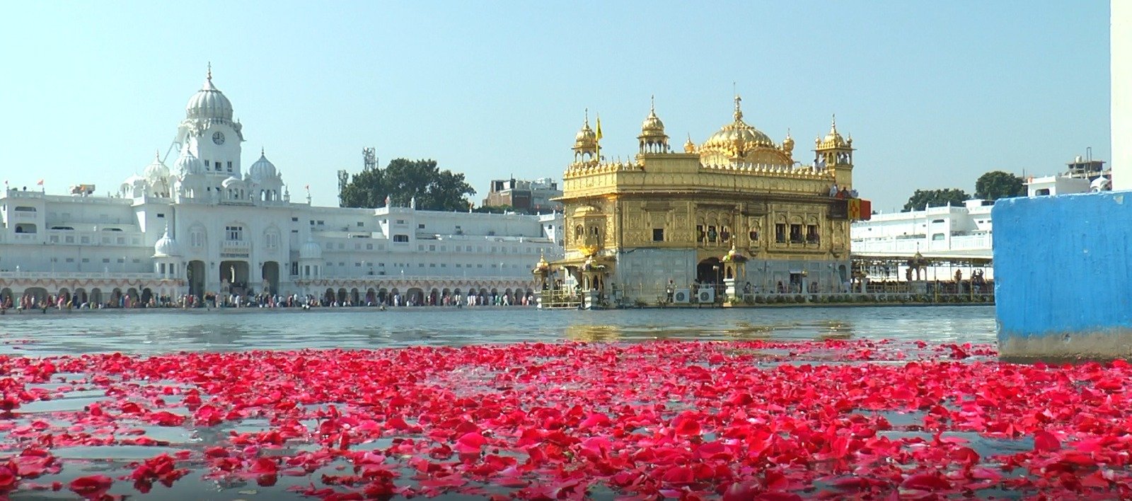 ਸ੍ਰੀ ਗੁਰੂ ਰਾਮਦਾਸ ਜੀ ਦੇ ਪ੍ਰਕਾਸ਼ ਪੁਰਬ ਮੌਕੇ ਸ੍ਰੀ ਹਰਿਮੰਦਰ ਸਾਹਿਬ ਵਿਖੇ ਹੈਲੀਕਾਪਟਰ ਰਾਹੀਂ ਫੁੱਲਾਂ ਦੀ ਵਰਖਾ ਅਤੇ ਗੁਲਾਬ ਦੀਆਂ ਪੱਤੀਆਂ ਨਾਲ ਸਜਿਆ ਪਵਿੱਤਰ ਸਰੋਵਰ।
