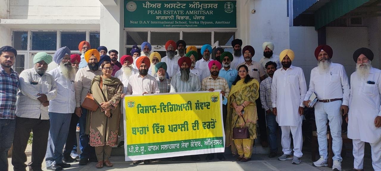 ਅੰਮ੍ਰਿਤਸਰ ਦੇ ਨਾਸ਼ਪਾਤੀ ਅਸਟੇਟ ਵੇਰਕਾ ਵਿਖੇ PAU ਅਤੇ ਬਾਗਬਾਨੀ ਮਾਹਿਰਾਂ ਵੱਲੋਂ ਪਰਾਲੀ ਦੀ ਮਲਚਿੰਗ, ਨਾਸ਼ਪਾਤੀ ਦੀ ਕਾਸ਼ਤ ਅਤੇ ਫਲਾਂ ਦੀ ਗੁਣਵੱਤਾ ਸੁਧਾਰ ਬਾਰੇ ਕਿਸਾਨਾਂ ਨੂੰ ਜਾਣਕਾਰੀ ਦਿੱਤੀ ਗਈ।